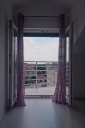 Apartments Miro
